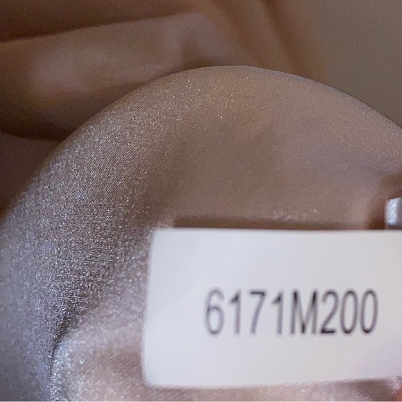 GIANNI BINI Lorena Lace Embroidered Sleeveless Chiffon Dress Gown in Petal Pink - Picture 13 of 16